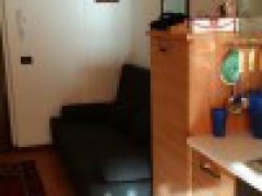 TWO-ROOM APARTMENT FURNISHED WITH GARAGE AND CELLAR - 25